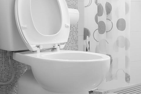 10 Different Types of Toilet Seats (by Shape, Material, Color and Features)